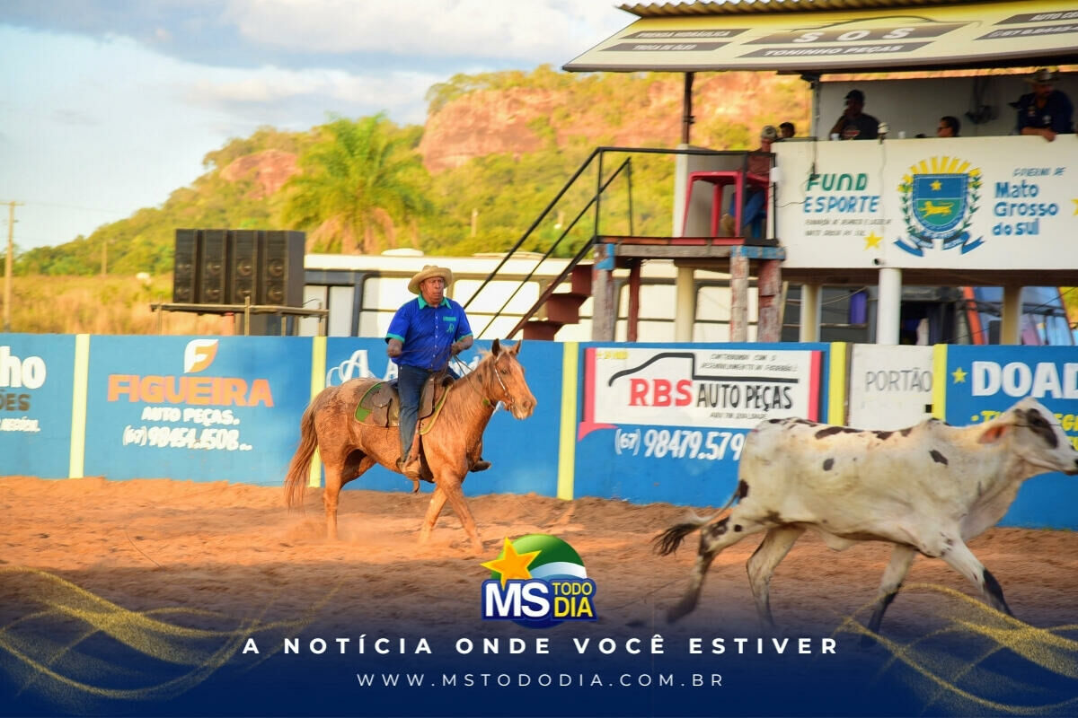 Imagem da Galeria